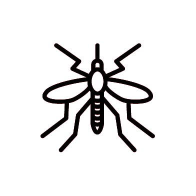 mosquito