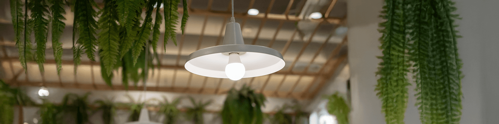 Lighting_Bnr_desktop